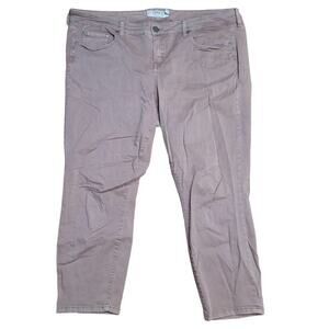 torrid Mauve Skinny Jeans